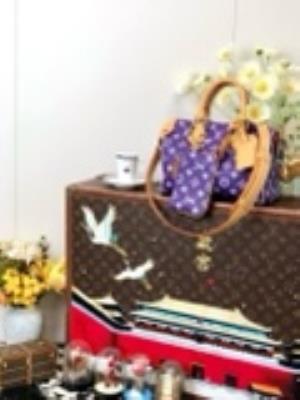 wholesale quality louis vuitton m11562 speedy p9 bandoulkere 25 purple model no. 1